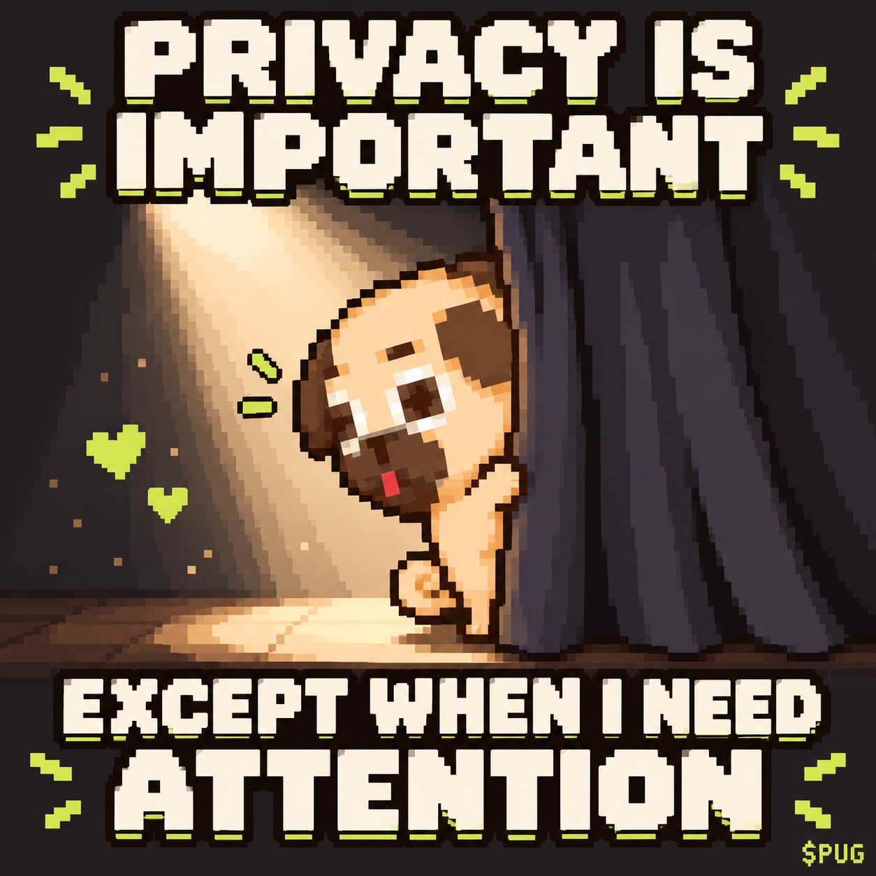 PUG meme: Privacy, pug style